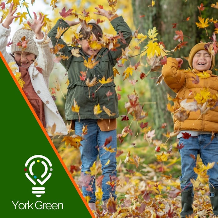 Safeguarding Children image