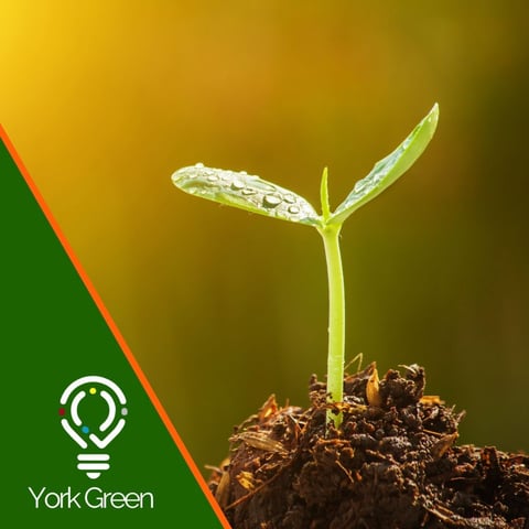 Your Personal Development