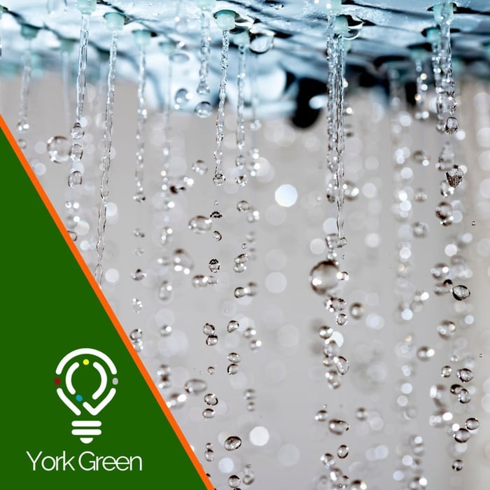 Basic Legionella Management image