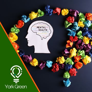 Children and Young People's Mental Health