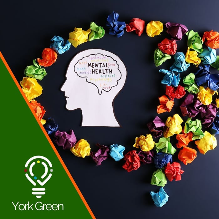 Children and Young People's Mental Health image