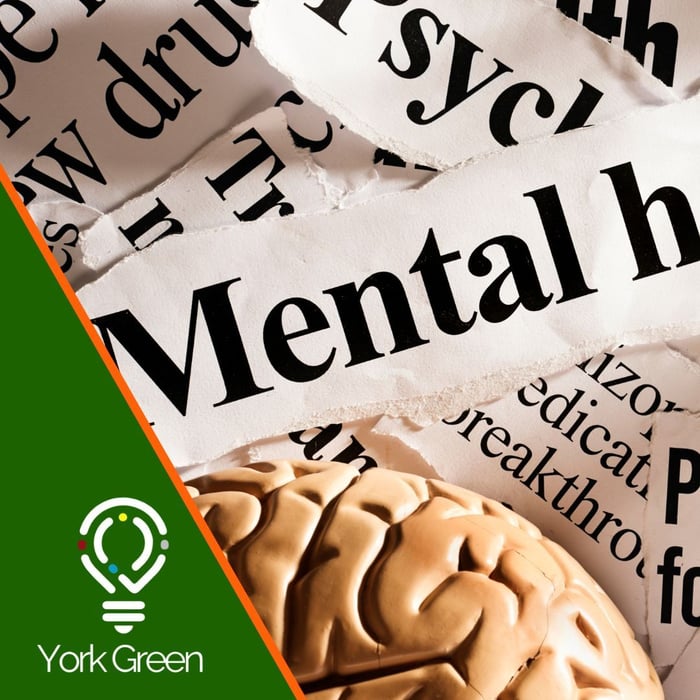 Developing A Workplace Mental Health Policy image