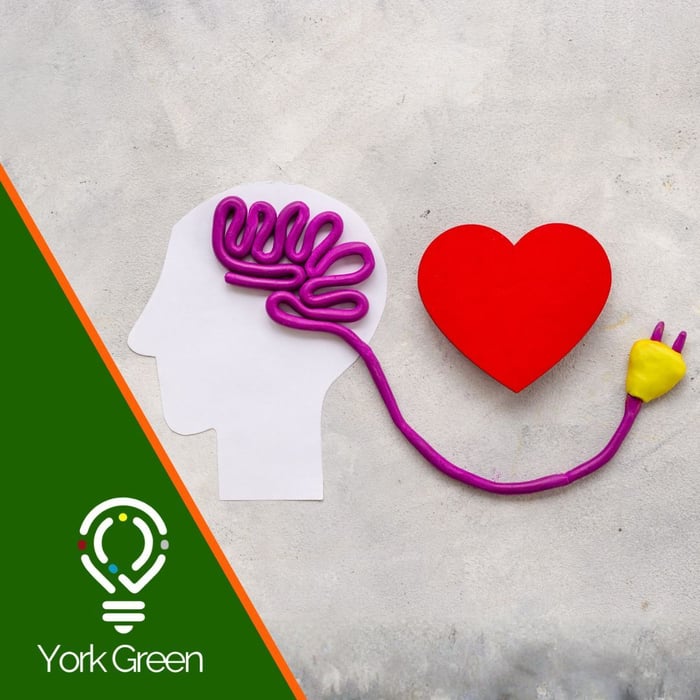 Introduction to Emotional Intelligence image